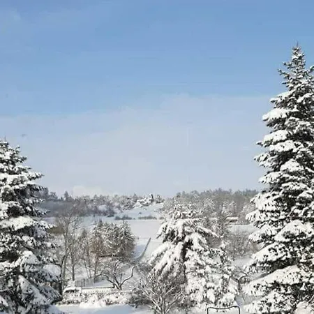 Bungalow With Terrace In Harz Mountains *